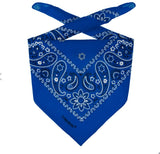 Bandana Headscarf (checking aws event bridge 9)