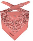 Bandana Headscarf (checking aws event bridge 9)