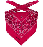 Bandana Headscarf (checking aws event bridge 9)